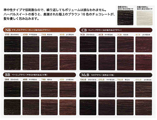 chocolat_color1